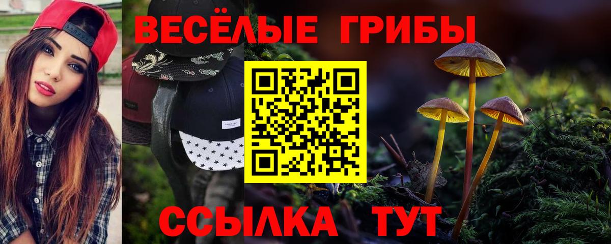 Галлюциногенные грибы мицелий  Вход с VPN  Псилоцибиновые грибы Psilocybine cubensis  Железноводск 