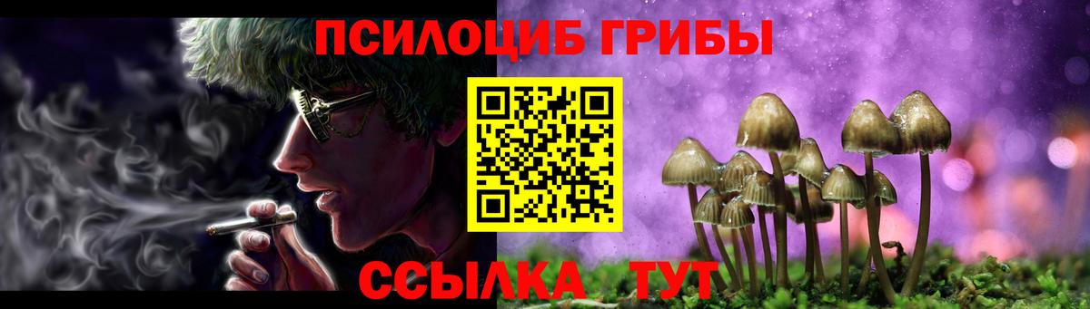 Галлюциногенные грибы GOLDEN TEACHER Железноводск