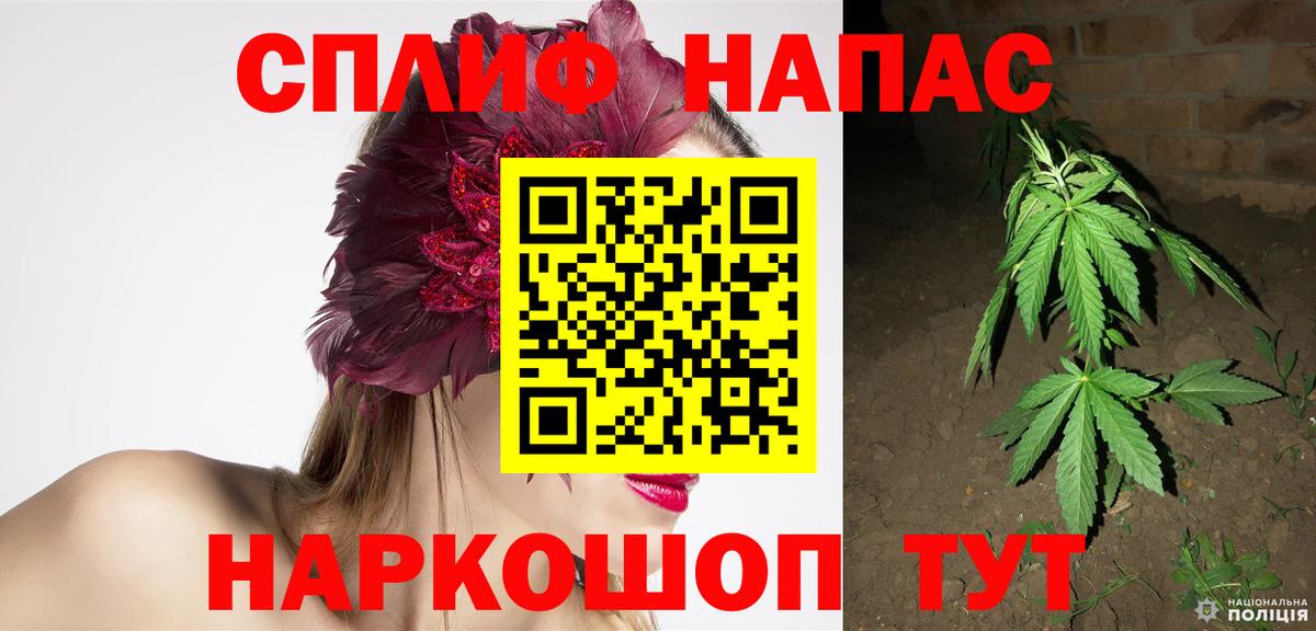 Бошки Шишки конопля Железноводск